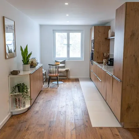 Grand Luxe 8 Pers Centre-ville Avec Parking - Fr-1-234-320 Appartement